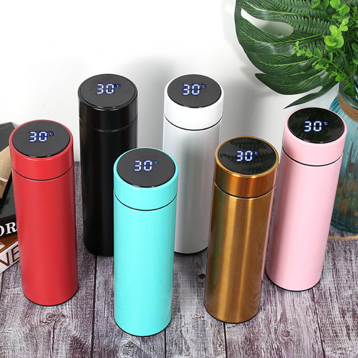 Water Bottle with Temperature